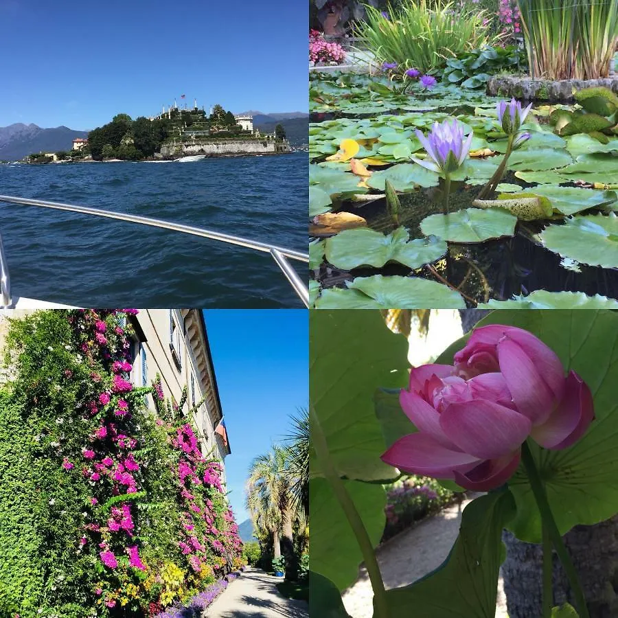Holiday home Lakeside Lago Maggiore Monvalle